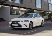 What UAE ride-hailers really want Ride Hailing Yango